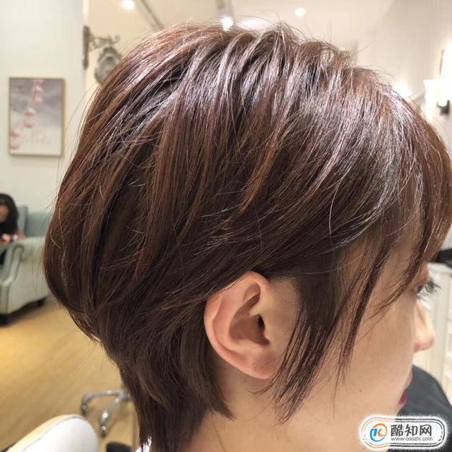 ��Щ����������ҵ���ԭ������Щ������